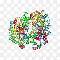 剪贴画线食品点不对称丝带-空若网 剪贴画线食品点不对称丝带-空若网