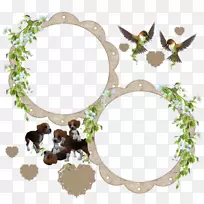 ͼ��������Ĳ���pngͼƬ����-������