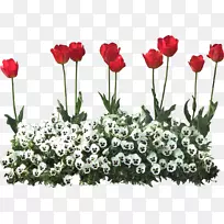 花园-空若网 花园-空若网