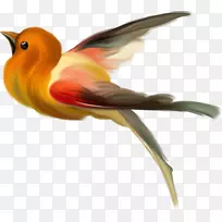 ���ද����������-����-������