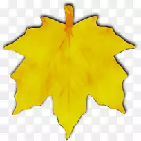 ��Ҷ��������ɫ�Գ�-������