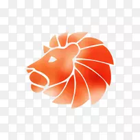 �̱����������ֽ��Ʒ���-������