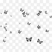 蝴蝶png图片图片昆虫土坯-蝴蝶-空若网 蝴蝶png图片图片昆虫土坯-蝴蝶-空若网