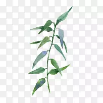 水彩画图像png图片小插画艺术.水彩画-空若网 水彩画图像png图片小插画艺术.水彩画-空若网