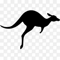 澳大利亚大袋鼠电脑图标壁虎袋鼠-空若网 澳大利亚大袋鼠电脑图标壁虎袋鼠-空若网