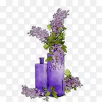 花卉设计切花薰衣草-空若网 花卉设计切花薰衣草-空若网