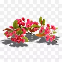 pngͼƬͼ����Ӱ��Ƭ-������