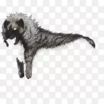 狗,犬科,毛皮,鼻子,野生动物-土狼-空若网 狗,犬科,毛皮,鼻子,野生动物-土狼-空若网