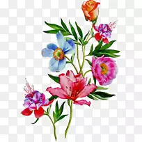 »¨Éè¼ÆÉÏÒÂtÐôÃÞ²¼Çл¨-¿ÕÈôÍø »¨Éè¼ÆÉÏÒÂtÐôÃÞ²¼Çл¨-¿ÕÈôÍø