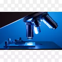 ��ѧ���������﷢���о���΢��-������