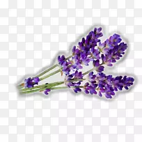 英国薰衣草防晒霜膳食补充剂精油-空若网 英国薰衣草防晒霜膳食补充剂精油-空若网