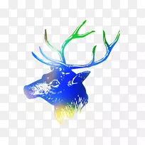 鹿茸-空若网 鹿茸-空若网