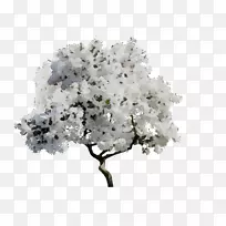 ��֧-������