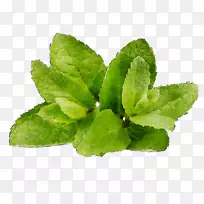 ´ºÂ̲ÝÒ¶-¿ÕÈôÍø ´ºÂ̲ÝÒ¶-¿ÕÈôÍø