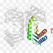 有机体人类行为产品剪贴画-丙酰可可-空若网 有机体人类行为产品剪贴画-丙酰可可-空若网