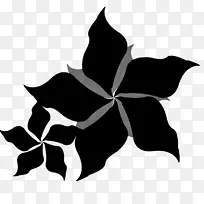 对称字体叶开花植物-空若网 对称字体叶开花植物-空若网