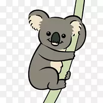 �����ܶ������������-����-������