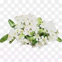 花卉设计切花花束-空若网 花卉设计切花花束-空若网