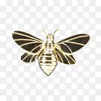 蛾类昆虫珠宝膜装饰-空若网 蛾类昆虫珠宝膜装饰-空若网