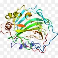 �������ߵ��ƷҶ��ͼ-������