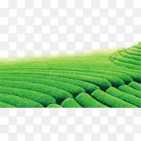 TEA电脑显示器文件格式显示分辨率戴尔-空若网 TEA电脑显示器文件格式显示分辨率戴尔-空若网