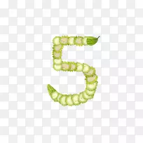 �����׳�-ֲ����-������