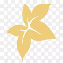 桌面壁纸夹艺术圣诞节电脑开花植物-空若网 桌面壁纸夹艺术圣诞节电脑开花植物-空若网