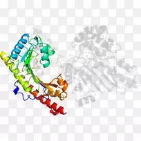 ��������Ʒ�л����߶���-Rea-������