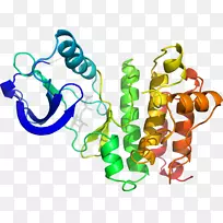 剪贴画有机体线身首饰-空若网 剪贴画有机体线身首饰-空若网