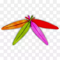 ��ɫS.A.-������