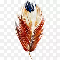 ��ë��ɫS.A.-������