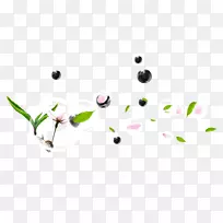 花瓣叶剪贴画花卉png图片-空若网 花瓣叶剪贴画花卉png图片-空若网