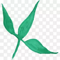 水彩画纸.水彩画叶-空若网 水彩画纸.水彩画叶-空若网