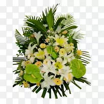 ������ƣ��л�������������ֲ��-��˿-������