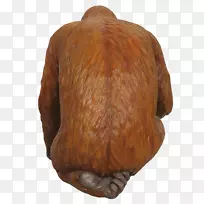 木皮鼻子-猩猩-空若网 木皮鼻子-猩猩-空若网