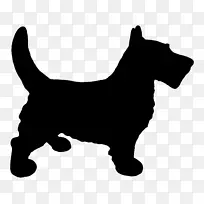 �ո���С��Ȯ������Ȯ���ߵذ׹�Ʒ��-������