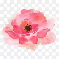 水彩花卉水彩画花艺剪贴画水彩画-空若网 水彩花卉水彩画花艺剪贴画水彩画-空若网