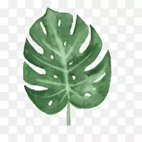 Ë®²Ê»£º»¨»ÜË®²Ê»pngͼƬ¼ô¼ÒÕÊõÐÎÏ󻿻-¿ÕÈôÍø Ë®²Ê»£º»¨»ÜË®²Ê»pngͼƬ¼ô¼ÒÕÊõÐÎÏ󻿻-¿ÕÈôÍø