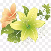 百合花剪贴画-阳台-空若网 百合花剪贴画-阳台-空若网