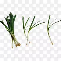 �����Ʒֲ�ﾥֲ��-������