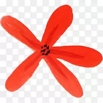 ���ϰ�������Ups Nederland B.V.ˮ�ʻ�.ˮ�ʻ���-������