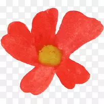 ˮ�ʻ���-ˮ�ʻ���-������