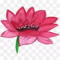 ������ٱ�ˮ�ʻ�-������