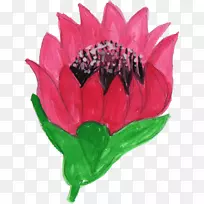 �л�����ˮ�ʻ��ٱ�ˮ�ʻ�-������