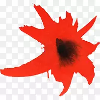 透明水彩画花夹艺术水彩画-空若网 透明水彩画花夹艺术水彩画-空若网