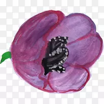 ������ˮ�ʻ��ٱ�ˮ�ʻ�-������