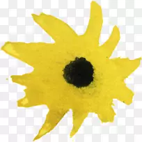 ÆÕͨ¿û»¨×ÑË®²Ê»-¿ÕÈôÍø ÆÕͨ¿û»¨×ÑË®²Ê»-¿ÕÈôÍø