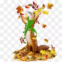 用于meds的可移植网络图形中心博客数学:一种可编程的文本绘图-cat-空若网 用于meds的可移植网络图形中心博客数学:一种可编程的文本绘图-cat-空若网