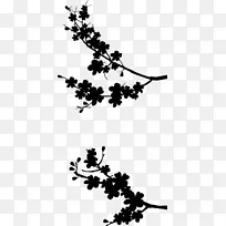 小枝黑植物茎花叶-空若网 小枝黑植物茎花叶-空若网