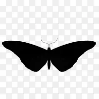 ë���׵ĺ����ɶ�Գ�-������